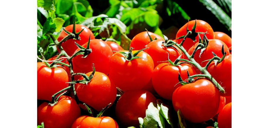 Tomaten auf Wochenmarkt